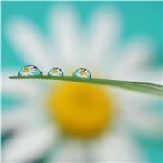 Qualified English teacher.mañanas.Acento britanico